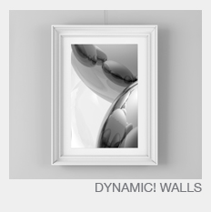 picture hanging systems dynamic wall